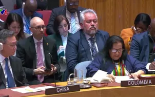 Hội đồng Bảo an họp khẩn về tình hình Venezuela