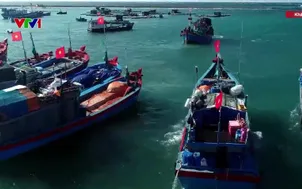 Cảng cá truy xuất điện tử nguồn gốc thủy sản