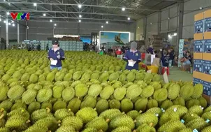 Giải pháp xuất khẩu nông sản đạt 74 tỷ USD