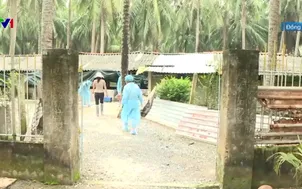 Bảo đảm nguồn cung thịt trước dịch tả lợn châu Phi