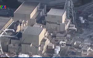 Bê bối làm giả dữ liệu an toàn nhà máy hạt nhân