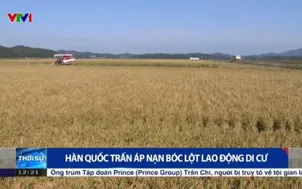 Hàn Quốc trấn áp nạn bóc lột lao động di cư 
