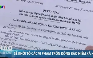 Sẽ khởi tố các vi phạm trốn đóng bảo hiểm xã hội