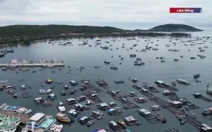 Ba tuần liên tiếp không có tàu cá bị bắt giữ