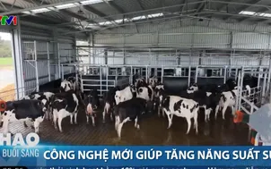Công nghệ mới giúp tăng năng suất sữa