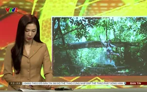 360 độ thể thao | 11/01/2026