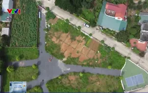 Kiểm soát tốc độ tăng tín dụng bất động sản