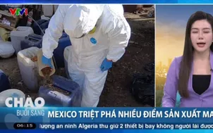 Mexico triệt phá nhiều điểm sản xuất ma túy