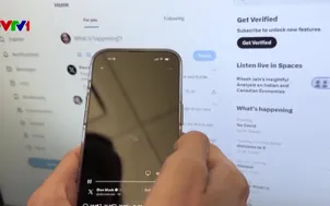 Khi A.I. vượt tầm kiểm soát