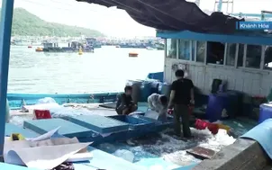 Hỗ trợ ngư dân duy trì thiết bị giám sát hành trình