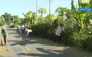 Xây dựng cảnh quan nông thôn