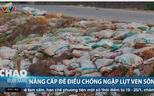 Bắc Ninh ưu tiên nâng cấp đê điều trước thiên tai cực đoan