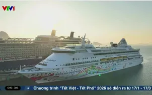 Quảng Ninh tổ chức Đại lộ hoa và công nghệ ánh sáng dịp Tết