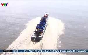 Đầu tư hạ tầng tăng khả năng ứng phó biến đổi khí hậu ở Đồng bằng sông Cửu Long 