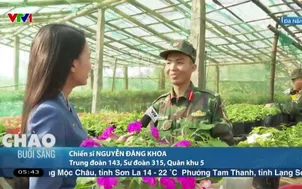 Đà Nẵng: Không khí chuẩn bị Tết Nguyên đán tại Trung đoàn 143