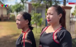 Niềm tin và kỳ vọng từ đại ngàn