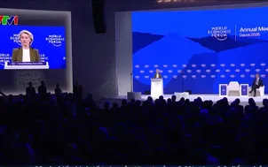 EU nỗ lực tăng cường an ninh Bắc Cực 