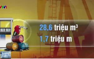 Từ giữa năm nay chỉ dùng xăng sinh học 