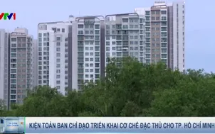 Kiện toàn ban chỉ đạo triển khai cơ chế đặc thù cho TP. Hồ Chí Minh