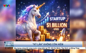 "Kỳ lân" không còn hiếm