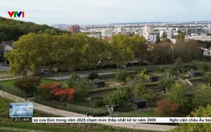 Trang trại trong nhà - giải pháp lương thực mới