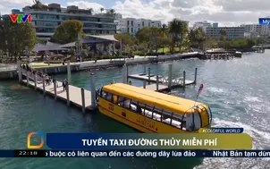 Tuyến taxi đường thủy miễn phí