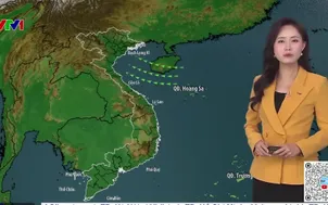 Bản tin thời tiết 19h45 - 26/01/2026