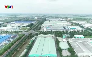 Tăng quản lý chất lượng thủy sản xuất khẩu