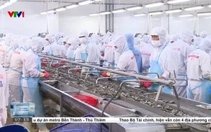 Sản xuất nông sản phải theo chuẩn quốc tế