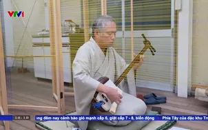 Dây đàn truyền thống nhật bản làm từ tơ sợi