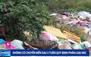 Không có chuyển biến sau 3 tuần quy định phân loại rác