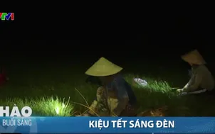 Kiệu Tết sáng đèn 