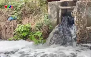 Dùng nước ô nhiễm để sản xuất nông nghiệp