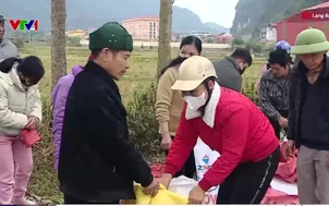 Cấp phát gạo Tết cho người dân khó khăn