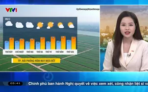 Bản tin thời tiết 5h30 - 31/01/2026