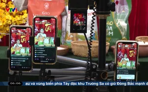 Nâng cao hiệu quả từ livestream bán hàng Tết