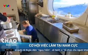 Cơ hội việc làm tại Nam Cực