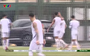 Nhịp đập thể thao | 01/02/2026