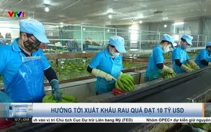 Hướng tới xuất khẩu rau quả đạt 10 tỷ USD