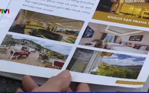 Bẫy hợp tác đầu tư