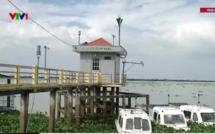 Chủ động ứng phó xâm nhập mặn dịp Tết