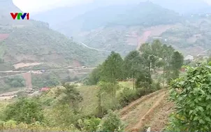 Hỗ trợ sinh kế cho người dân sau thiên tai