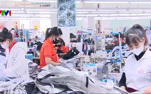 Dệt may, da giày không thiếu đơn hàng