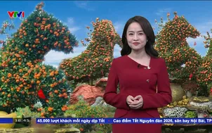 Độc lạ quýt tạo hình ngựa tết Bính Ngọ