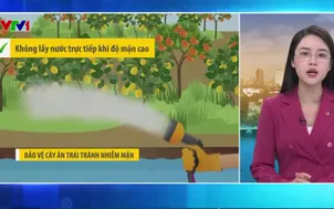 Bản tin thời tiết 5h30 - 08/02/2026