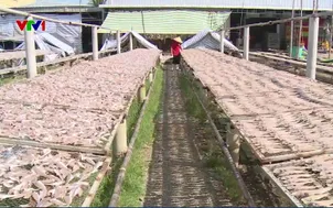 Làng cá khô miền Tây vào cao điểm Tết