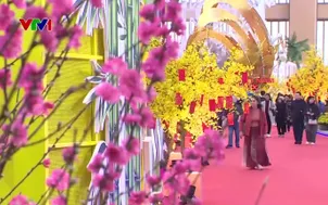 Đa dạng hoạt động văn hóa, lễ hội dịp cuối tuần