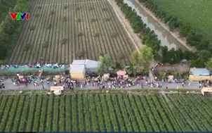 Về miền Tây đi chợ phiên