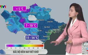 Bản tin thời tiết 12h30 - 09/02/2026