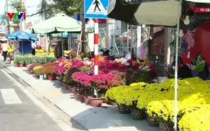 Khởi động thị trường hoa Tết